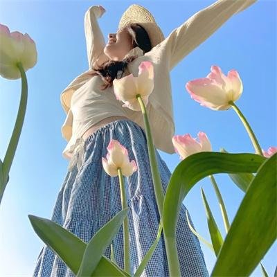 双子座计划